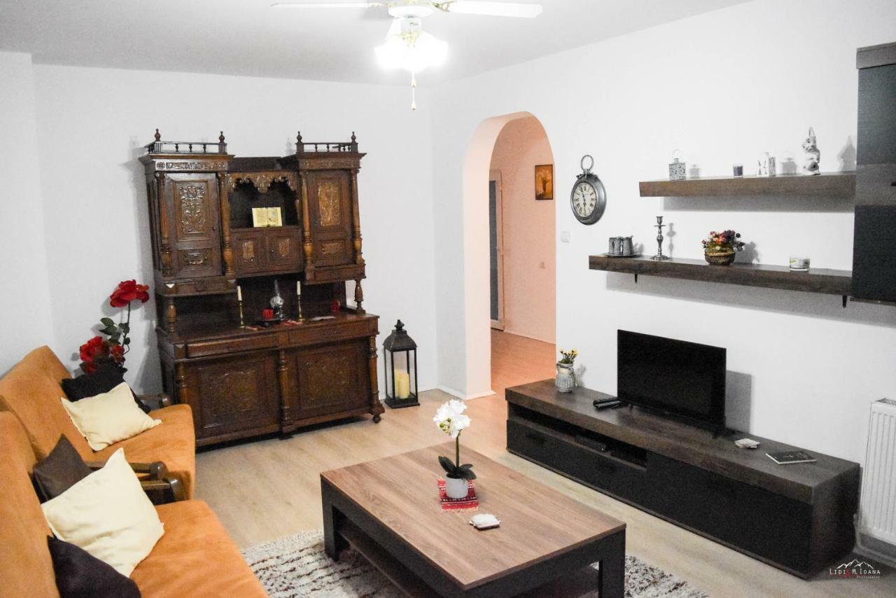 Spacious And Cozy 3Bd+Terrace Couples Apartment Тимишоара Екстериор снимка