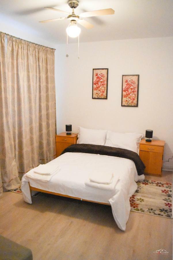Spacious And Cozy 3Bd+Terrace Couples Apartment Тимишоара Екстериор снимка