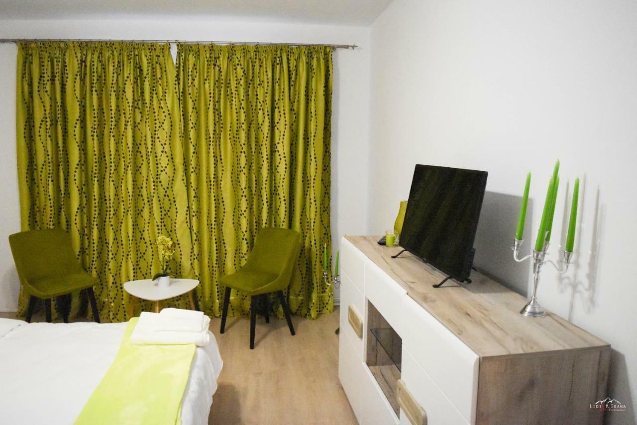 Spacious And Cozy 3Bd+Terrace Couples Apartment Тимишоара Екстериор снимка