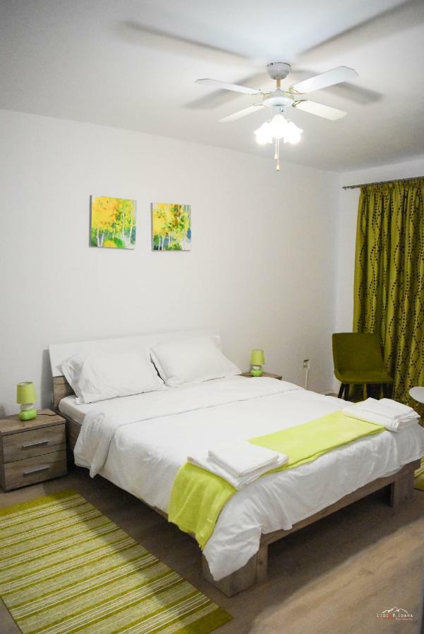Spacious And Cozy 3Bd+Terrace Couples Apartment Тимишоара Екстериор снимка