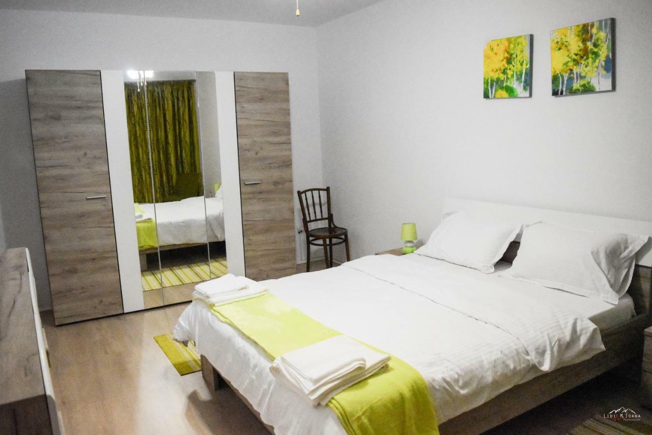 Spacious And Cozy 3Bd+Terrace Couples Apartment Тимишоара Екстериор снимка