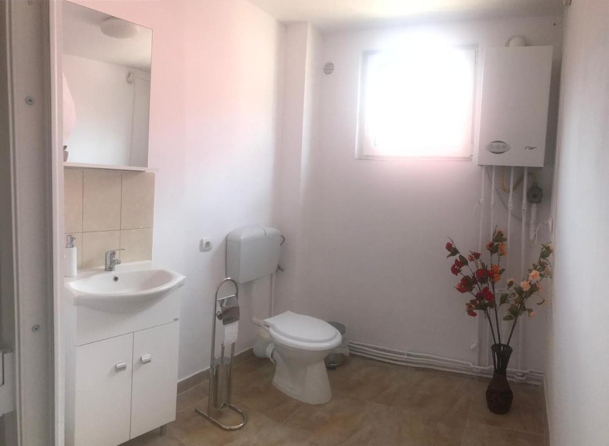 Spacious And Cozy 3Bd+Terrace Couples Apartment Тимишоара Екстериор снимка